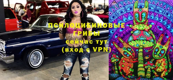 гидра Лагань