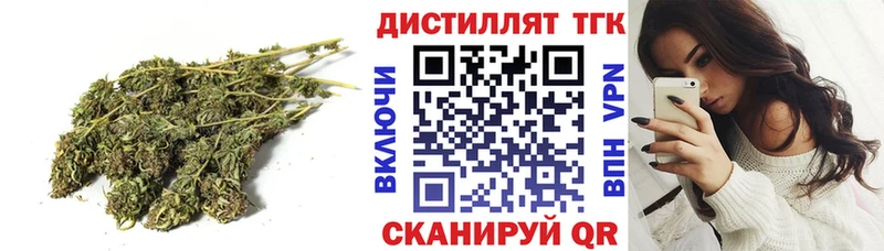 Купить где  Ясногорск  ТГК концентрат 