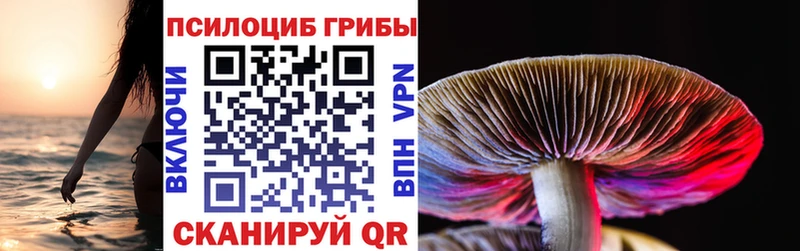 Купить где  Ясногорск  Псилоцибиновые грибы Cubensis 