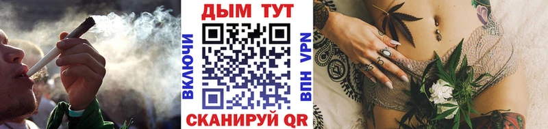 Бошки Шишки план  Купить где  Ясногорск